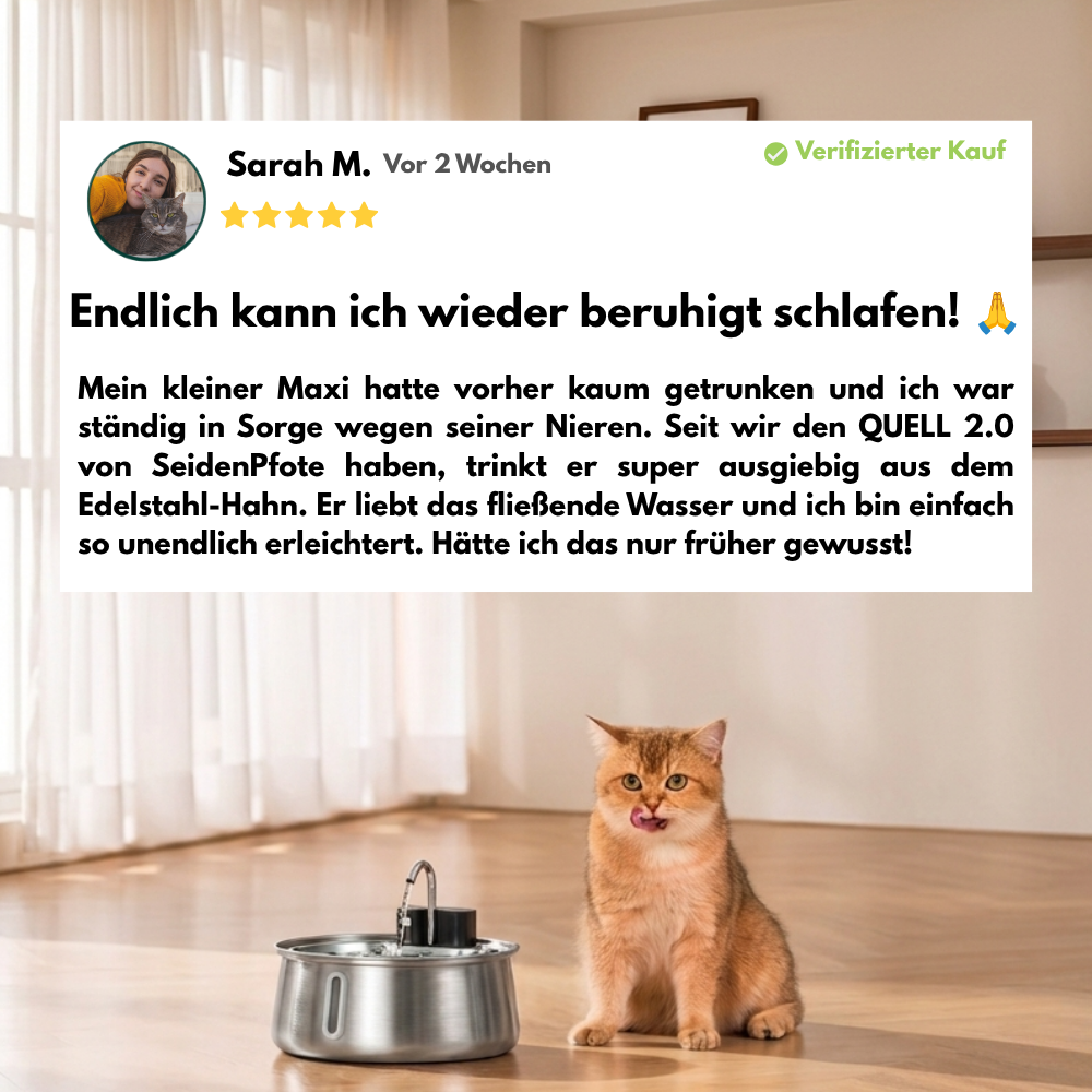 Seidenpfoten QUELL 2.0