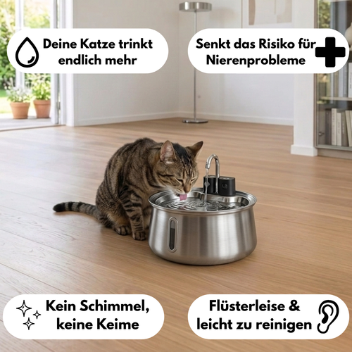 Seidenpfoten QUELL 2.0